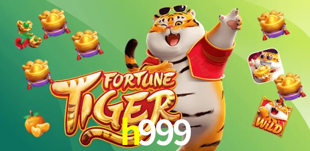 Sports Statistics h999